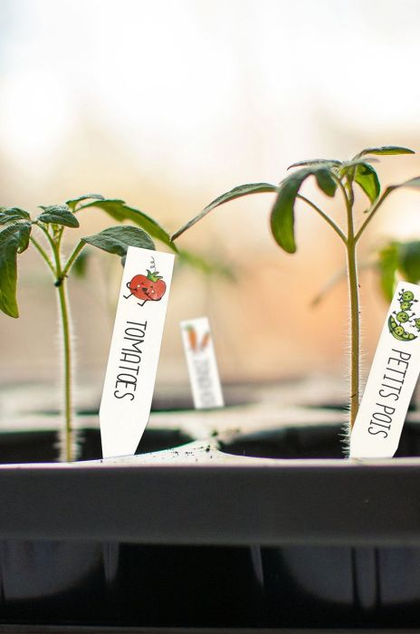 Graine Creative набір DIY ярлики для рослин Crazy Plastic Kit колір барвистий